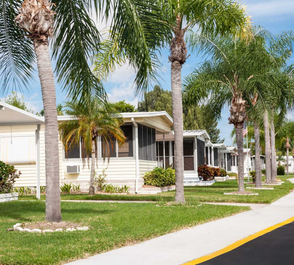 View of a sunny street lined with palm trees and mobile homes.