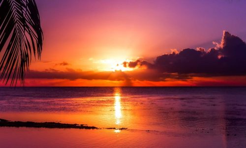 Sunset over a tropical beach used as the hero image background on the home page of Integrity Mobile Home Sales, the premier Mobile and Manufactured Home reseller in Florida!