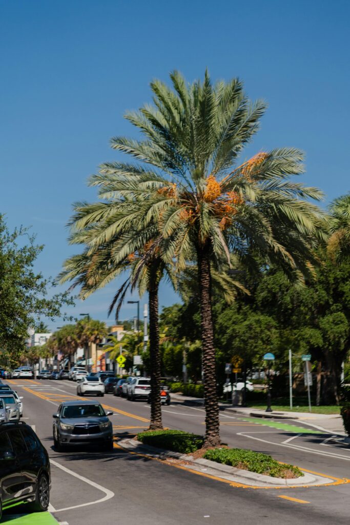 Why Move to Florida Mobile Homes