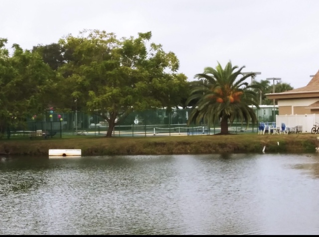 Sarasota, Florida 34233, ,1075