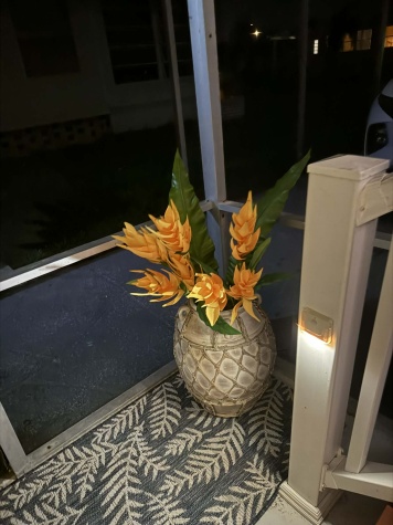 4011 Countryside Drive, Ellenton, Florida 34222, 2 Bedrooms Bedrooms, ,2 BathroomsBathrooms,55-Plus Mobile Home,For Rent,Countryside Drive,2958