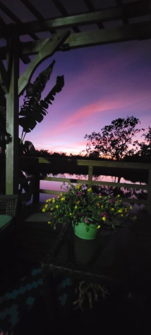 3726 Hula Circle, Ruskin, Florida 33570, 1 Bedroom Bedrooms, ,1 BathroomBathrooms,All - Age Mobile Home,For Sale,Hula Circle,4070