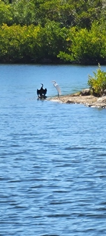3726 Hula Circle, Ruskin, Florida 33570, 1 Bedroom Bedrooms, ,1 BathroomBathrooms,All - Age Mobile Home,For Sale,Hula Circle,4070