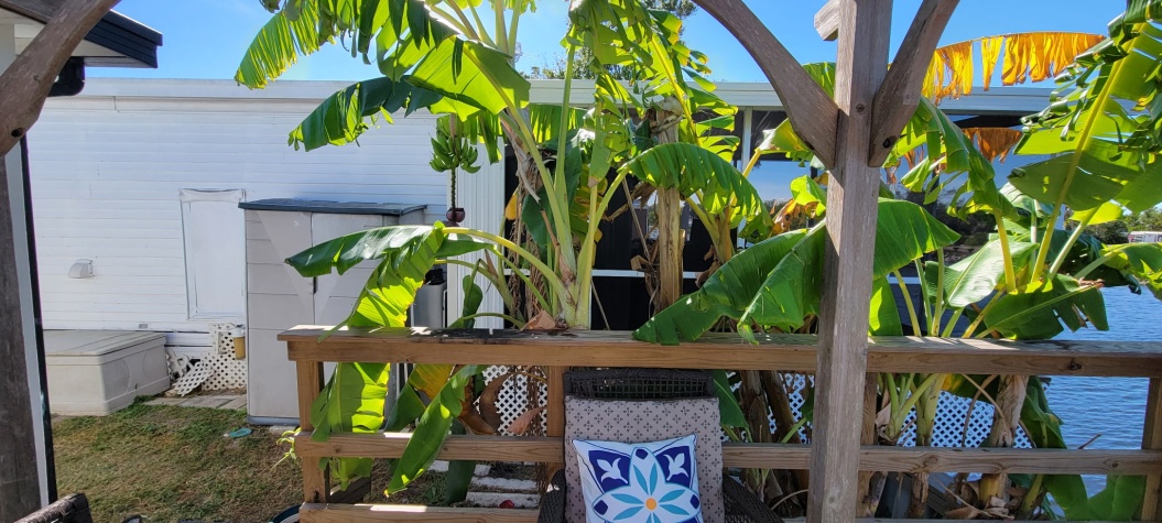 3726 Hula Circle, Ruskin, Florida 33570, 1 Bedroom Bedrooms, ,1 BathroomBathrooms,All - Age Mobile Home,For Sale,Hula Circle,4070