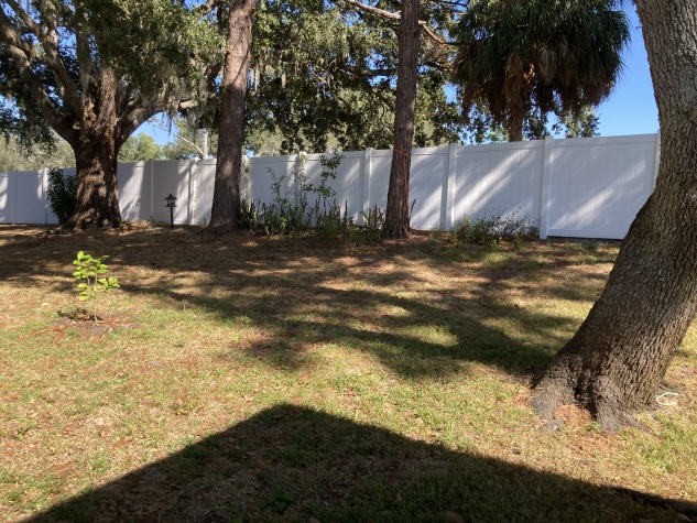 10209 Oak Forest Drive, Riverview, Florida 33569, 2 Bedrooms Bedrooms, ,2 BathroomsBathrooms,55-Plus Mobile Home,For Sale,Oak Forest Drive,4274