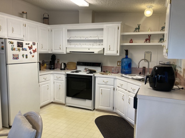 10209 Oak Forest Drive, Riverview, Florida 33569, 2 Bedrooms Bedrooms, ,2 BathroomsBathrooms,55-Plus Mobile Home,For Sale,Oak Forest Drive,4274