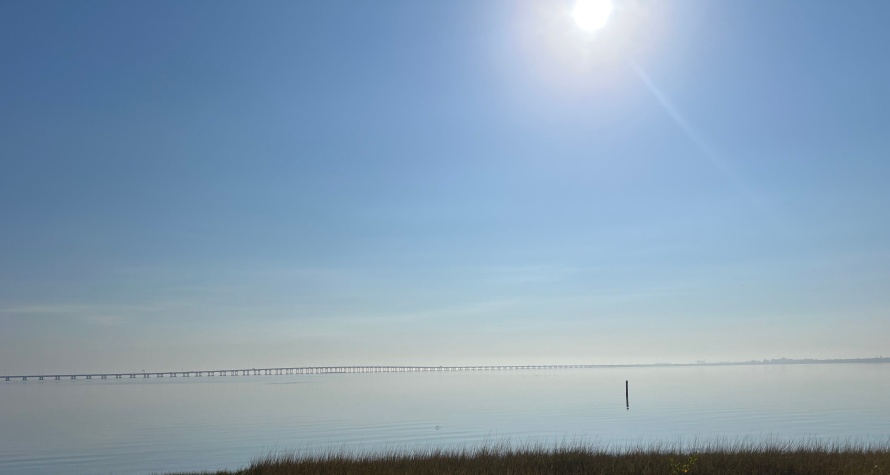 2683 Shinto Drive, Clearwater, Florida 33764, 2 Bedrooms Bedrooms, ,2 BathroomsBathrooms,55-Plus Mobile Home,For Sale,Shinto Drive,4299