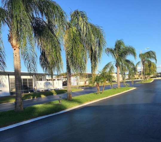 29081 US Hwy 19 N, Lot 339, Clearwater, Florida 33761, 2 Bedrooms Bedrooms, ,2 BathroomsBathrooms,55-Plus Mobile Home,For Sale,US Hwy 19 N, Lot 339,4315