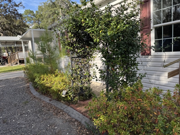 3860 Doctors Lake Dr, Lot 20, Orange Park, Florida 32073, 3 Bedrooms Bedrooms, ,2 BathroomsBathrooms,55-Plus Mobile Home,For Sale,Doctors Lake Dr, Lot 20,4323