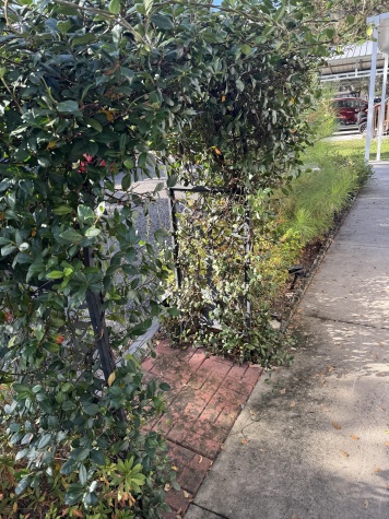 3860 Doctors Lake Dr, Lot 20, Orange Park, Florida 32073, 3 Bedrooms Bedrooms, ,2 BathroomsBathrooms,55-Plus Mobile Home,For Sale,Doctors Lake Dr, Lot 20,4323