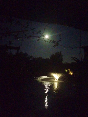 9303 Bayshore Road, Lot A2, Palmetto, Florida 34221, 2 Bedrooms Bedrooms, ,1 BathroomBathrooms,55-Plus Mobile Home,For Sale,9303 Bayshore Road, Lot A2,4326