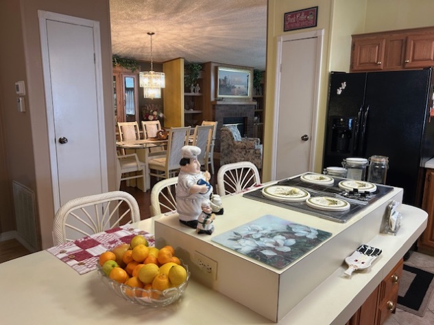 3008 Pindo Palm Pl, Ellenton, Florida 34222, 2 Bedrooms Bedrooms, ,2 BathroomsBathrooms,55-Plus Mobile Home,For Sale,Pindo Palm Pl,4329