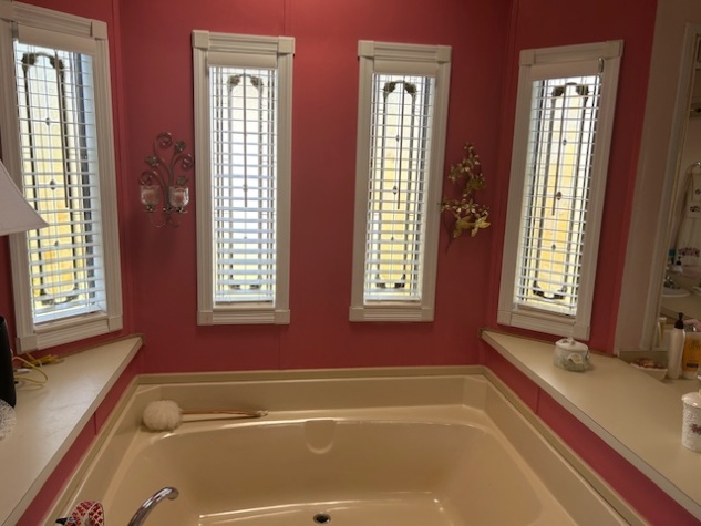 3008 Pindo Palm Pl, Ellenton, Florida 34222, 2 Bedrooms Bedrooms, ,2 BathroomsBathrooms,55-Plus Mobile Home,For Sale,Pindo Palm Pl,4329