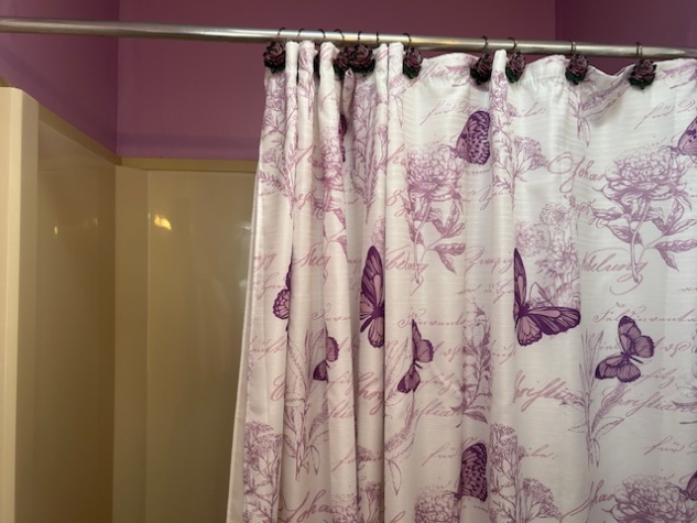 3008 Pindo Palm Pl, Ellenton, Florida 34222, 2 Bedrooms Bedrooms, ,2 BathroomsBathrooms,55-Plus Mobile Home,For Sale,Pindo Palm Pl,4329