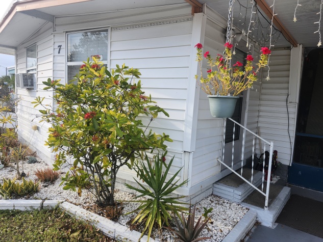 28488 US Hwy 19 N, Lot 7, Clearwater, Florida 33761, 2 Bedrooms Bedrooms, ,1 BathroomBathrooms,55-Plus Mobile Home,For Sale,US Hwy 19 N, Lot 7,4346