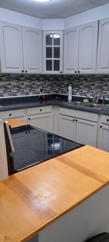 3565 58th Avenue N, Lot 138, St Petersburg, Florida 33714, 1 Bedroom Bedrooms, 1 Room Rooms,55-Plus Mobile Home,For Sale,58th Avenue N, Lot 138,4347