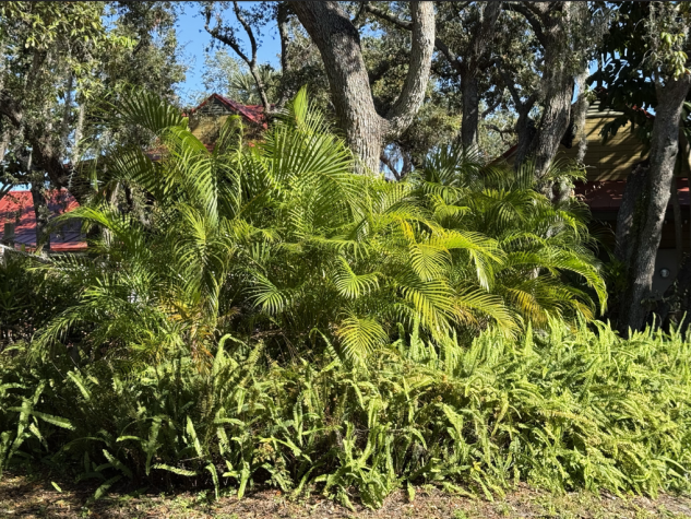 20000 US Hwy 19 N, Lot 607, Clearwater, Florida 33764, 2 Bedrooms Bedrooms, ,1 BathroomBathrooms,55-Plus Mobile Home,For Sale,US Hwy 19 N, Lot 607,4385