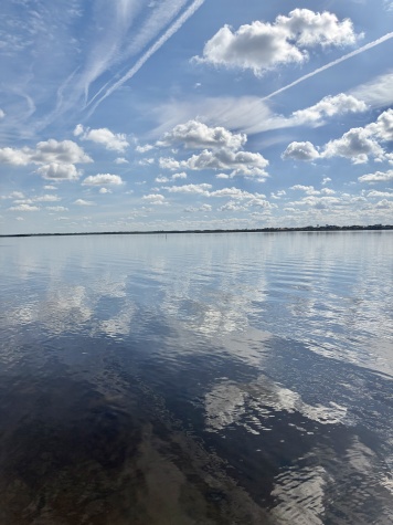 6505 US Hwy 301 N, Lot A10, Ellenton, Florida 34222, 1 Bedroom Bedrooms, ,1 BathroomBathrooms,55-Plus Mobile Home,For Sale,US Hwy 301 N, Lot A10,4393