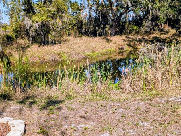 6234 Carl Shepard Dr, Ruskin, Florida 33570, 2 Bedrooms Bedrooms, ,1 BathroomBathrooms,55-Plus Mobile Home,For Sale,Carl Shepard Dr,4395