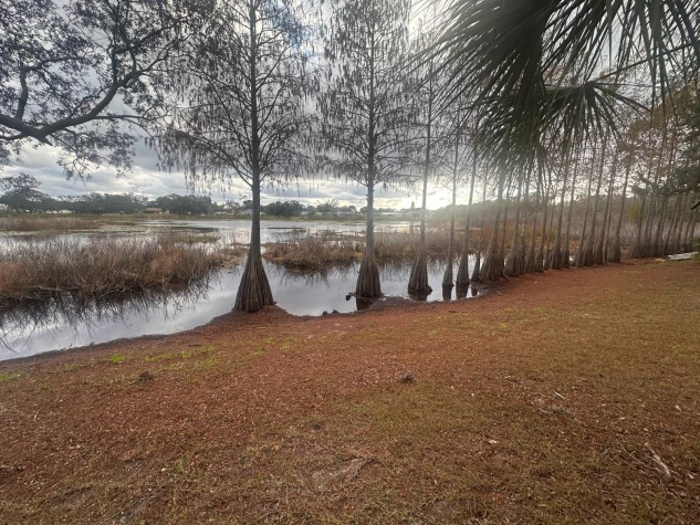 8225 Arevee Dr, Lot 920, New Port Richey, Florida 34653, 1 Bedroom Bedrooms, ,1 BathroomBathrooms,55-Plus Mobile Home,For Sale,Arevee Dr, Lot 920,4403