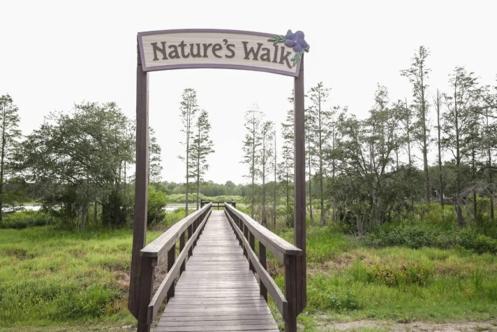 8225 Arevee Dr, Lot 151, New Port Richey, Florida 34653, 1 Bedroom Bedrooms, ,1 BathroomBathrooms,55-Plus Mobile Home,For Sale,Arevee Dr, Lot 151,4405