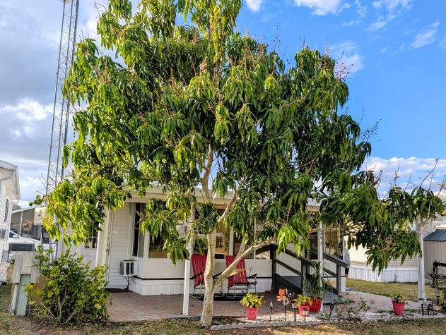 2206 Chaney Dr, Lot 297, Ruskin, Florida 33570, 2 Bedrooms Bedrooms, ,1 BathroomBathrooms,55-Plus Mobile Home,For Sale,Chaney Dr, Lot 297,4419