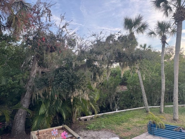 334 Den Helder Ave, Ellenton, Florida 34222, 2 Bedrooms Bedrooms, ,2 BathroomsBathrooms,55-Plus Mobile Home,For Sale,Den Helder Ave,4433