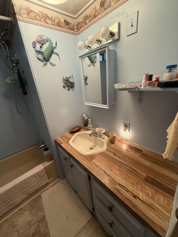 3331 Gall Blvd, Lot 216, Zephyrhills, Florida 33541, 1 Bedroom Bedrooms, ,1 BathroomBathrooms,55-Plus Mobile Home,For Sale,Gall Blvd, Lot 216,4449