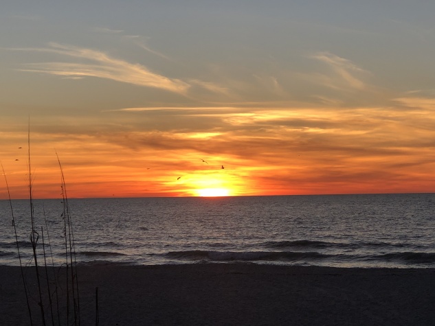 392 Teakwood Dr, Ellenton, Florida 34222, 2 Bedrooms Bedrooms, ,2 BathroomsBathrooms,55-Plus Mobile Home,For Sale,Teakwood Dr,4454