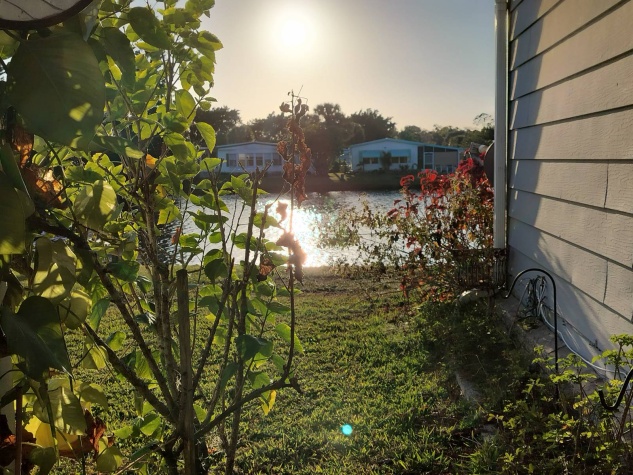 7000 20th St, Lot 827, Vero Beach, Florida 32966, 2 Bedrooms Bedrooms, ,2 BathroomsBathrooms,55-Plus Mobile Home,For Sale,20th St, Lot 827,4477