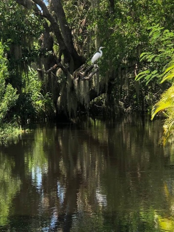 3908 Lemonwood Dr N, Ellenton, Florida 34222, 2 Bedrooms Bedrooms, ,2 BathroomsBathrooms,55-Plus Mobile Home,For Sale,Lemonwood Dr N,4479