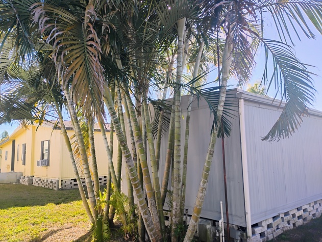 2550 State Rd 580, Lot 333, Clearwater, Florida 33761, 2 Bedrooms Bedrooms, ,1 BathroomBathrooms,55-Plus Mobile Home,For Sale,State Rd 580, Lot 333,4505