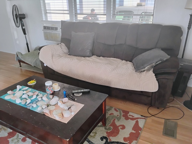 2550 State Rd 580, Lot 333, Clearwater, Florida 33761, 2 Bedrooms Bedrooms, ,1 BathroomBathrooms,55-Plus Mobile Home,For Sale,State Rd 580, Lot 333,4505