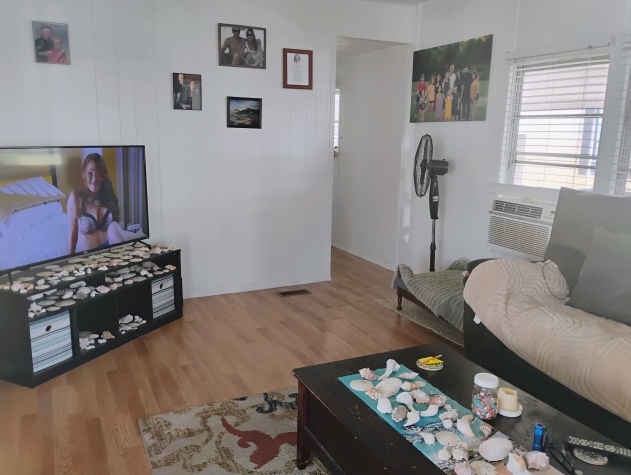 2550 State Rd 580, Lot 333, Clearwater, Florida 33761, 2 Bedrooms Bedrooms, ,1 BathroomBathrooms,55-Plus Mobile Home,For Sale,State Rd 580, Lot 333,4505