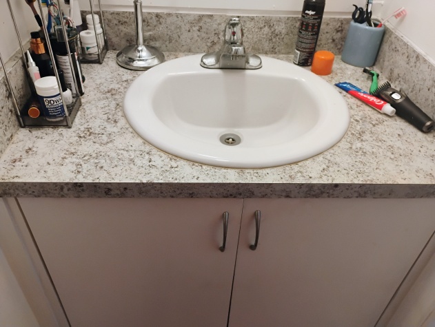 2550 State Rd 580, Lot 333, Clearwater, Florida 33761, 2 Bedrooms Bedrooms, ,1 BathroomBathrooms,55-Plus Mobile Home,For Sale,State Rd 580, Lot 333,4505