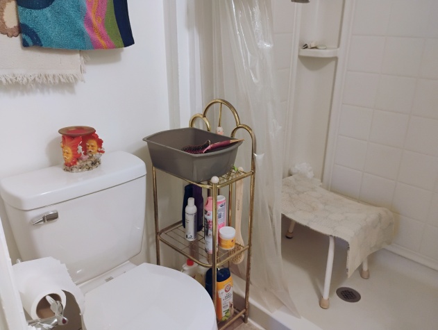 2550 State Rd 580, Lot 333, Clearwater, Florida 33761, 2 Bedrooms Bedrooms, ,1 BathroomBathrooms,55-Plus Mobile Home,For Sale,State Rd 580, Lot 333,4505