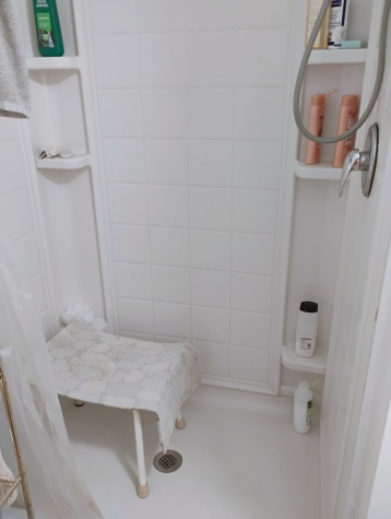 2550 State Rd 580, Lot 333, Clearwater, Florida 33761, 2 Bedrooms Bedrooms, ,1 BathroomBathrooms,55-Plus Mobile Home,For Sale,State Rd 580, Lot 333,4505