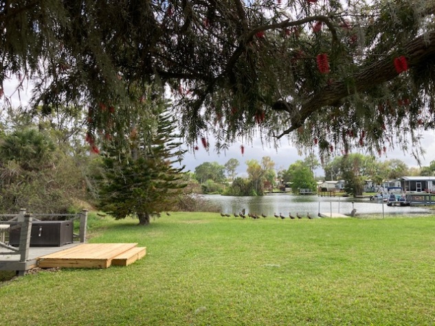 944 Reynolds Road, Lot 35, Lakeland, Florida 33801, 2 Bedrooms Bedrooms, ,1 BathroomBathrooms,55-Plus Mobile Home,For Sale,Reynolds Road, Lot 35,4509