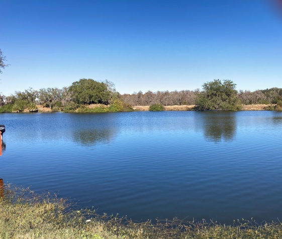 944 Reynolds Road, Lot 35, Lakeland, Florida 33801, 2 Bedrooms Bedrooms, ,1 BathroomBathrooms,55-Plus Mobile Home,For Sale,Reynolds Road, Lot 35,4509