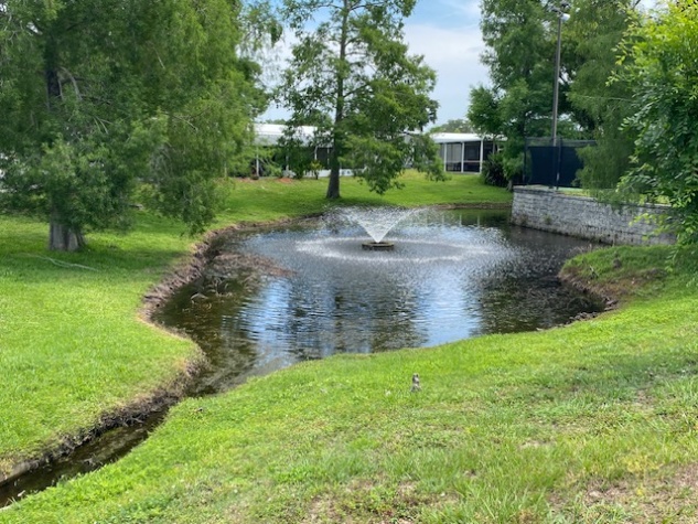 100 Hampton Rd, Lot 122, Clearwater, Florida 33759, 3 Bedrooms Bedrooms, ,2 BathroomsBathrooms,55-Plus Mobile Home,For Sale,Hampton Rd, Lot 122,4510