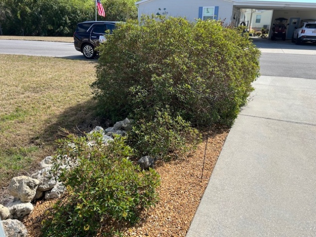 3643 Renee Ct, Ellenton, Florida 34222, 2 Bedrooms Bedrooms, ,1 BathroomBathrooms,55-Plus Mobile Home,For Sale,Renee Ct,4552