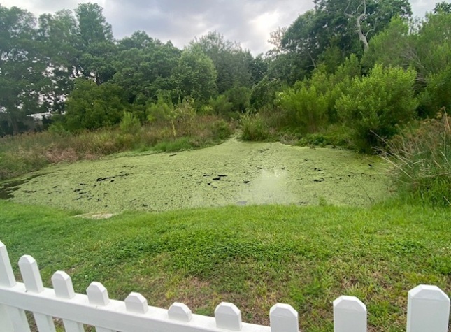 100 Hampton Rd, Lot 270, Clearwater, Florida 33759, 2 Bedrooms Bedrooms, ,2 BathroomsBathrooms,55-Plus Mobile Home,For Sale,Hampton Rd, Lot 270,4558