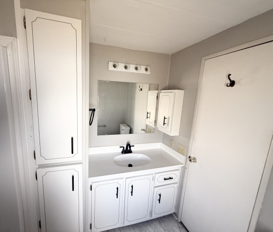 3113 State Road 580, Lot 185, Safety Harbor, Florida 34695, 2 Bedrooms Bedrooms, ,2 BathroomsBathrooms,55-Plus Mobile Home,For Sale,State Road 580, Lot 185,4560