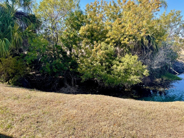 392 Sandpiper Cove, Ellenton, Florida 34222, 2 Bedrooms Bedrooms, ,2 BathroomsBathrooms,55-Plus Mobile Home,For Sale,Sandpiper Cove,4569