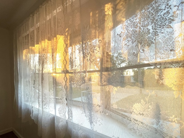 684 Harbor Circle, Ellenton, Florida 34222, 2 Bedrooms Bedrooms, ,2 BathroomsBathrooms,55-Plus Mobile Home,For Sale,Harbor Circle,4584