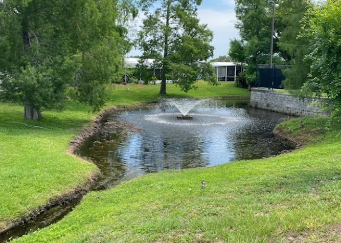 100 Hampton Road, Lot 2, Clearwater, Florida 33759, 2 Bedrooms Bedrooms, ,2 BathroomsBathrooms,55-Plus Mobile Home,For Sale,Hampton Road, Lot 2,4603