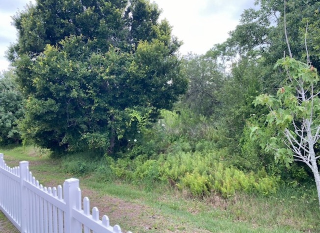 100 Hampton Road, Lot 2, Clearwater, Florida 33759, 2 Bedrooms Bedrooms, ,2 BathroomsBathrooms,55-Plus Mobile Home,For Sale,Hampton Road, Lot 2,4603