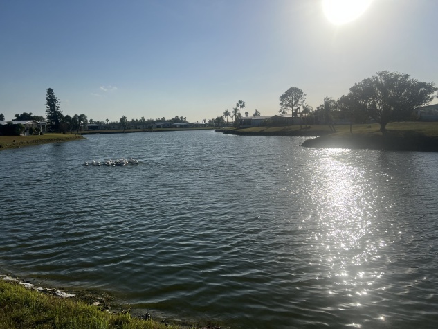 4211 Buena Vista Drive S, Ellenton, Florida 34222, 2 Bedrooms Bedrooms, ,2 BathroomsBathrooms,55-Plus Mobile Home,For Sale,Buena Vista Drive S,4608