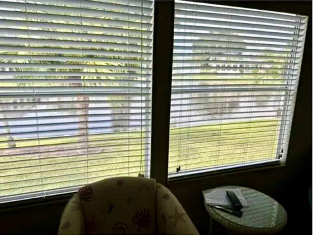 6806 Palmetto Grove, Ellenton, Florida 34222, 2 Bedrooms Bedrooms, ,2 BathroomsBathrooms,55-Plus Mobile Home,For Sale,Palmetto Grove,4614