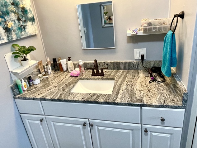 544 Montego Lane N, Ellenton, Florida 34222, 2 Bedrooms Bedrooms, ,2 BathroomsBathrooms,55-Plus Mobile Home,For Sale,Montego Lane N,4617